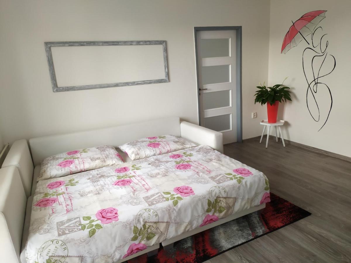 Appartement Byt Puskinova à Hradec Králové Extérieur photo